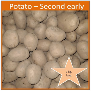 Potato Second Early 'Kestrel 2 Kg. Bag